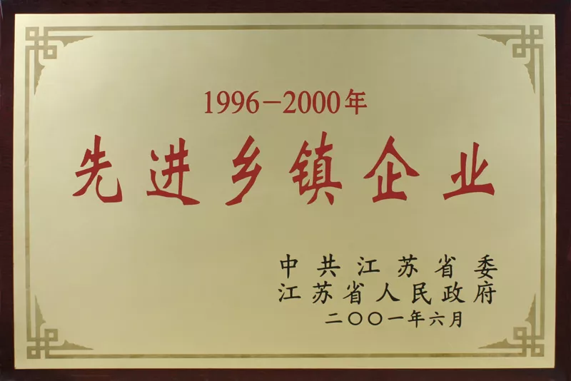 先进乡镇企业