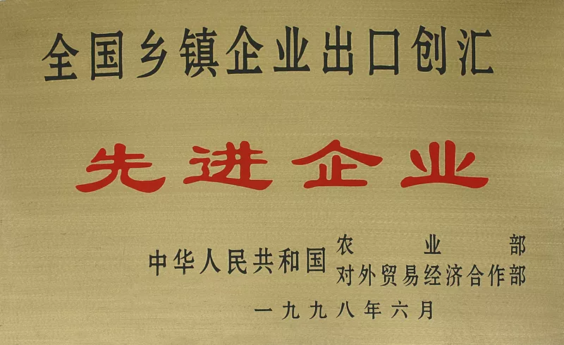 全国乡镇企业出口创汇先进企业